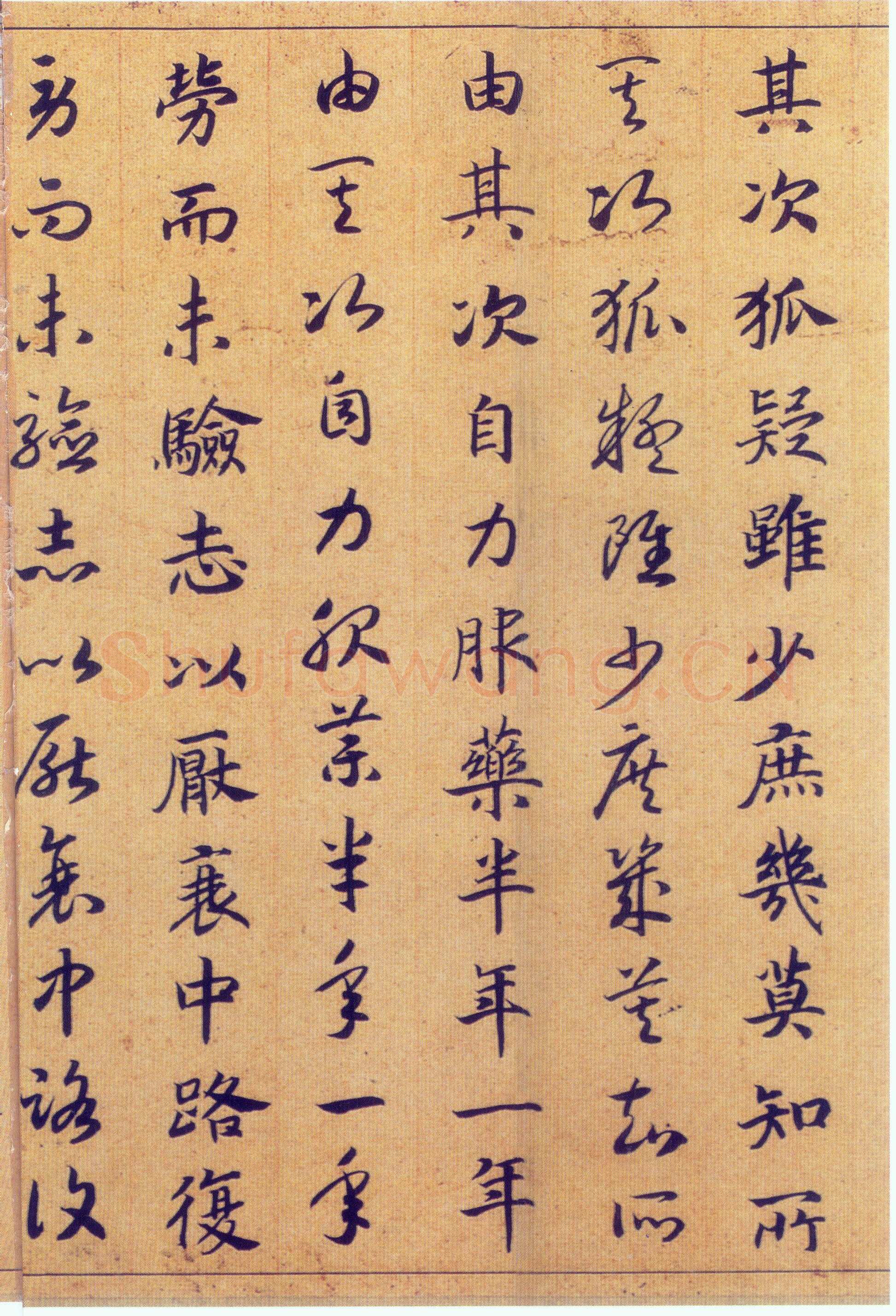 赵构《真草书养生论卷》纸本 23.5×602.8cm 上海博物馆藏