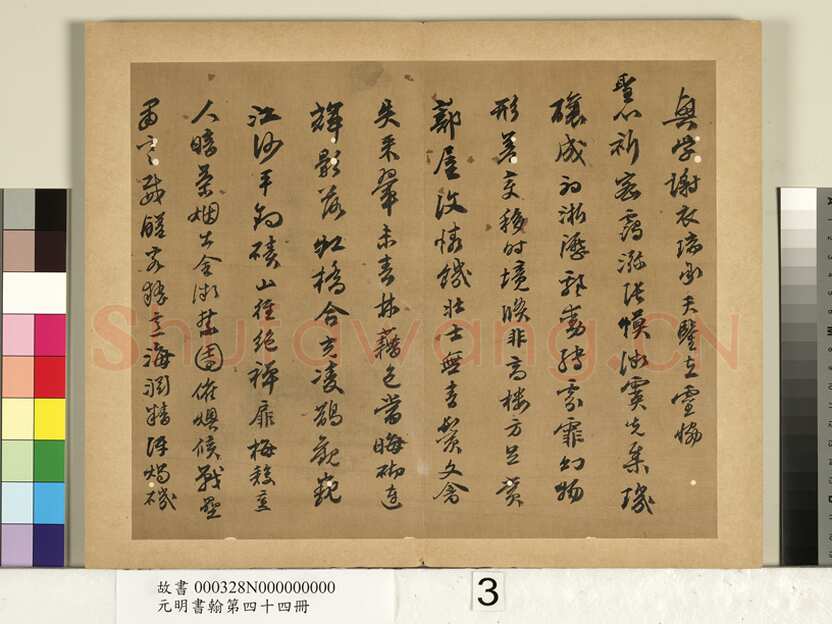陈沂《行书诗帖、跋刁光“丛篁集羽图”》