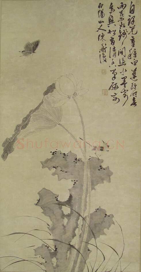 陈淳《荷花小鸟图》