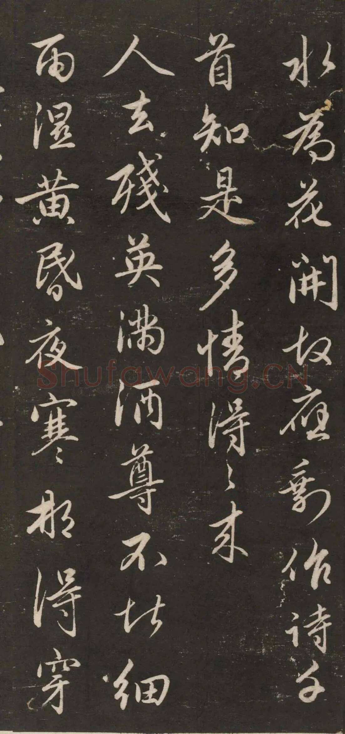 赵孟頫《行书苏轼梅花十绝》(墨拓)