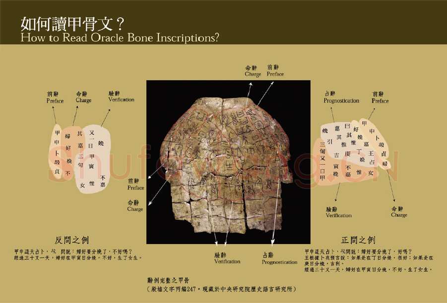 甲骨文小百科甲骨文写法,摘自甲骨文小百科