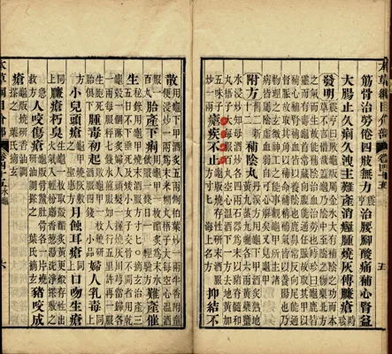 甲骨文的发现甲骨文写法,摘自甲骨文的发现