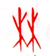 甲骨文字选介甲骨文写法,摘自甲骨文字选介