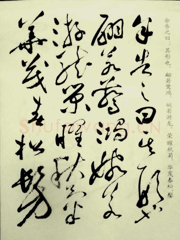 祝允明《草书洛神赋》