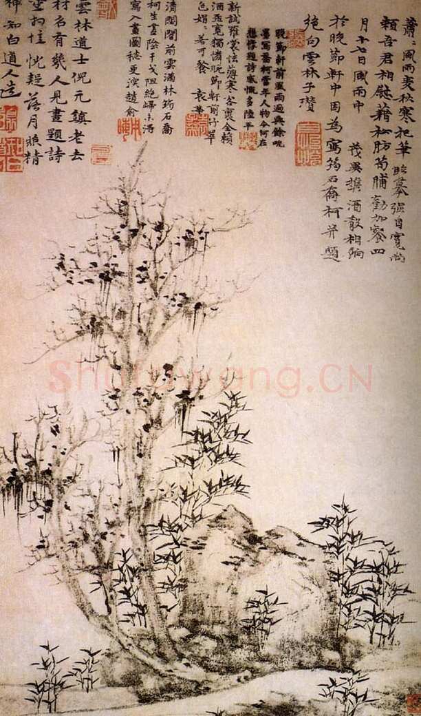 倪瓒题筠石乔柯图