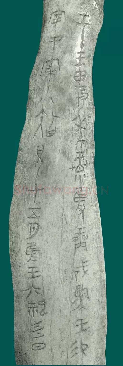 商 宰丰骨匕记事刻辞甲骨文写法,摘自商 宰丰骨匕记事刻辞