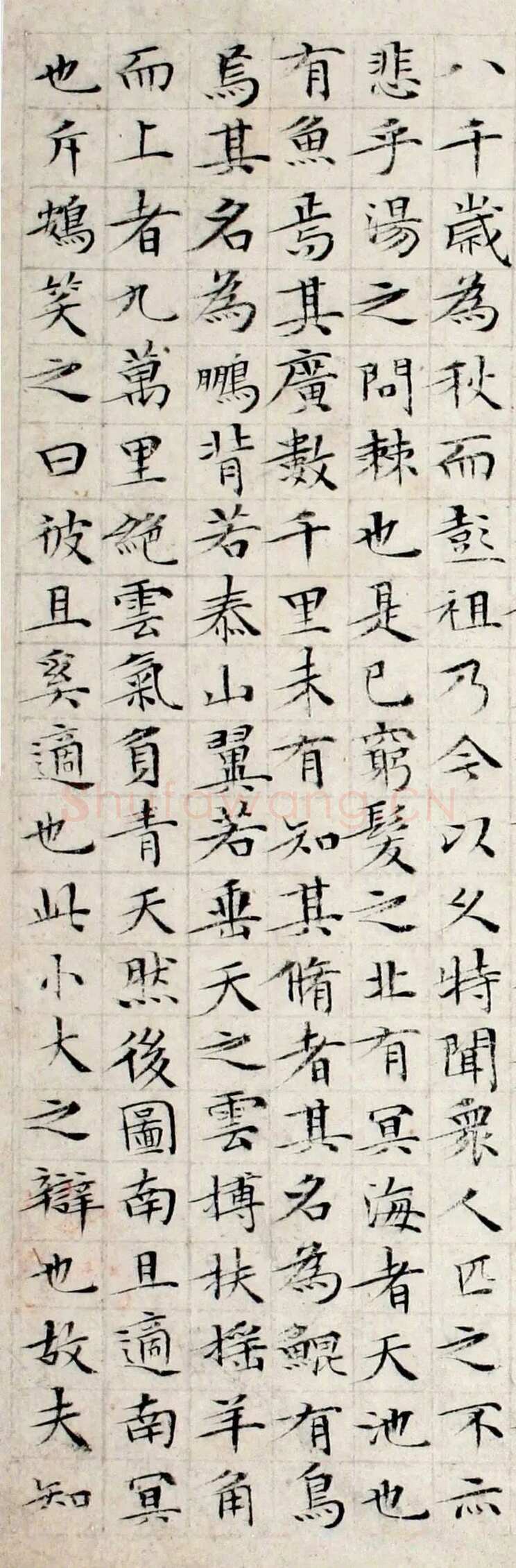 文徵明《小楷庄子南华经》纸本册页 湖南省博物馆藏