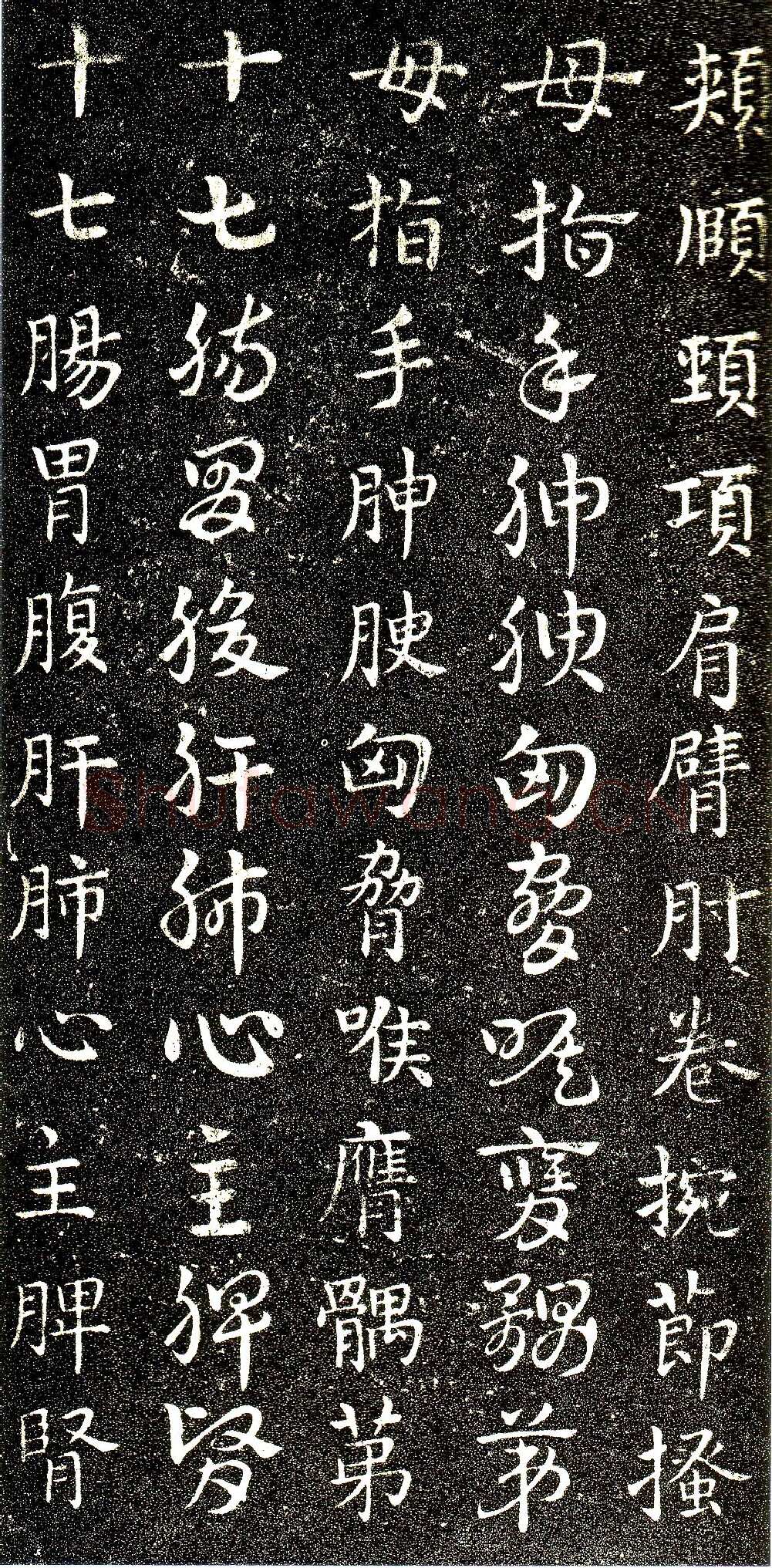 皇象章草《急就章》选页皇象书法欣赏,摘自三国急就章