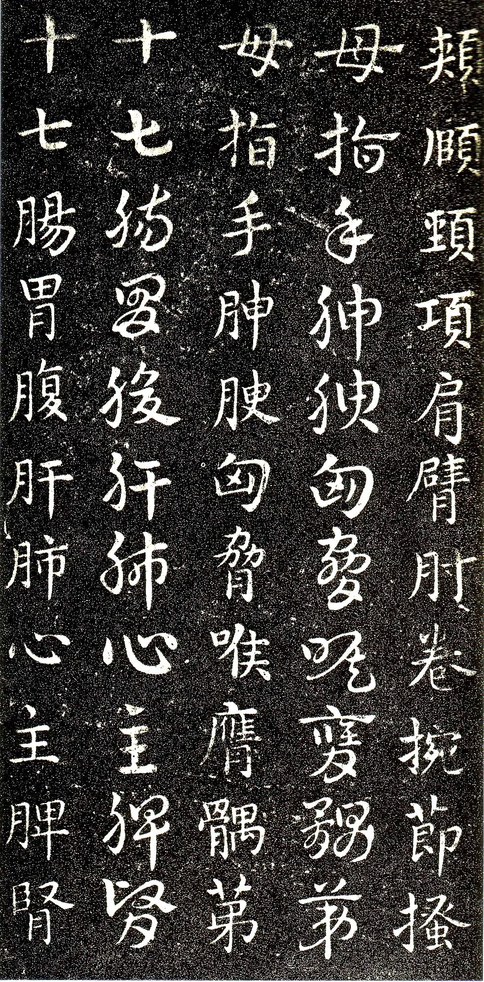 皇象章草《急就章》选页皇象书法欣赏,摘自三国急就章