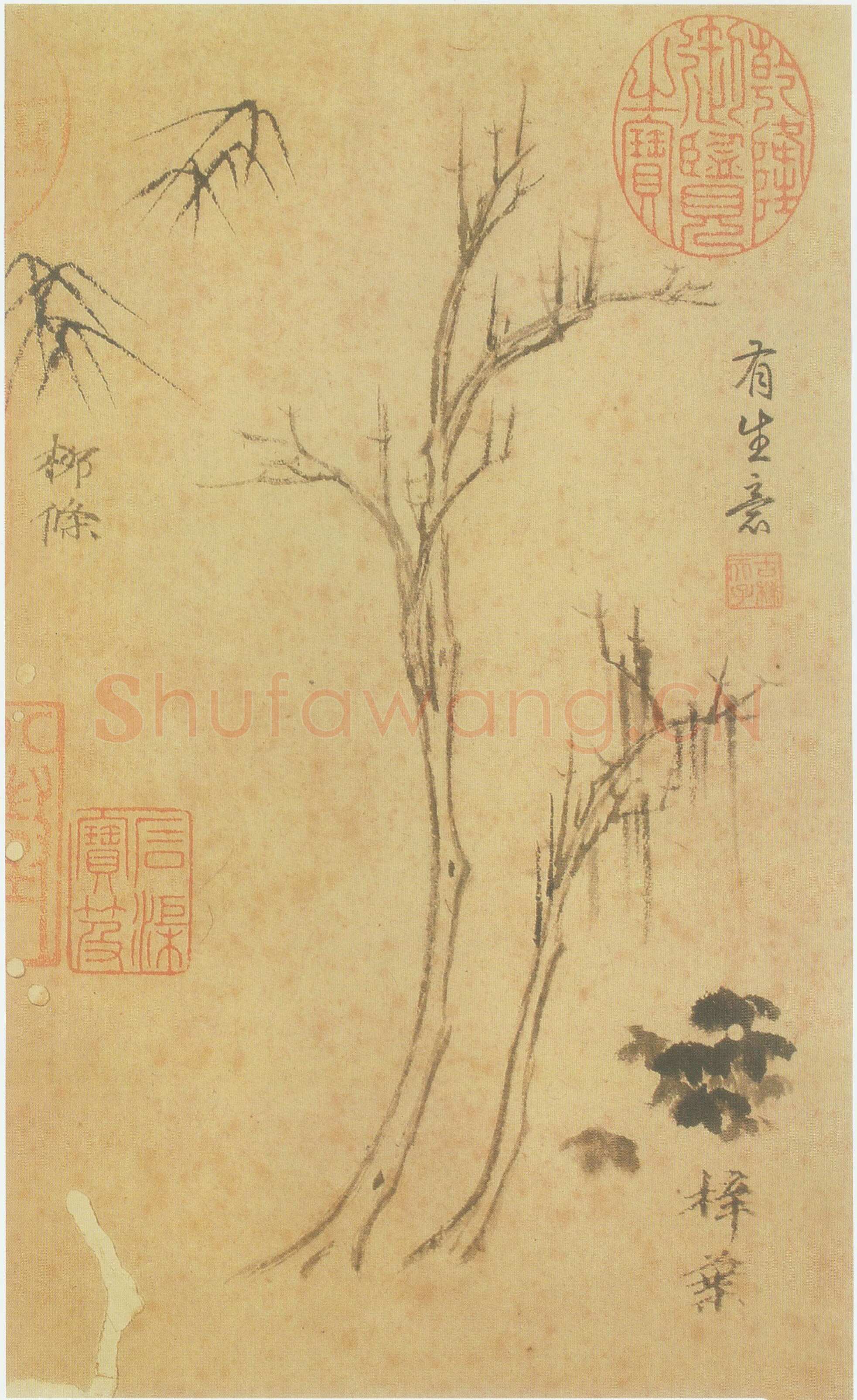 倪瓒云林画谱册