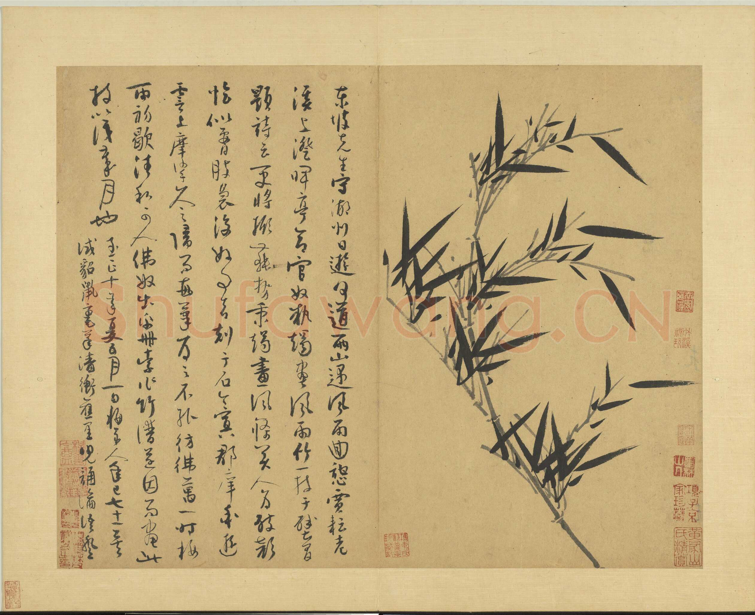 吴镇《墨竹谱》册 纸本 每页纵40.3厘米，横52厘米 二十二页 台北故宫博物院藏