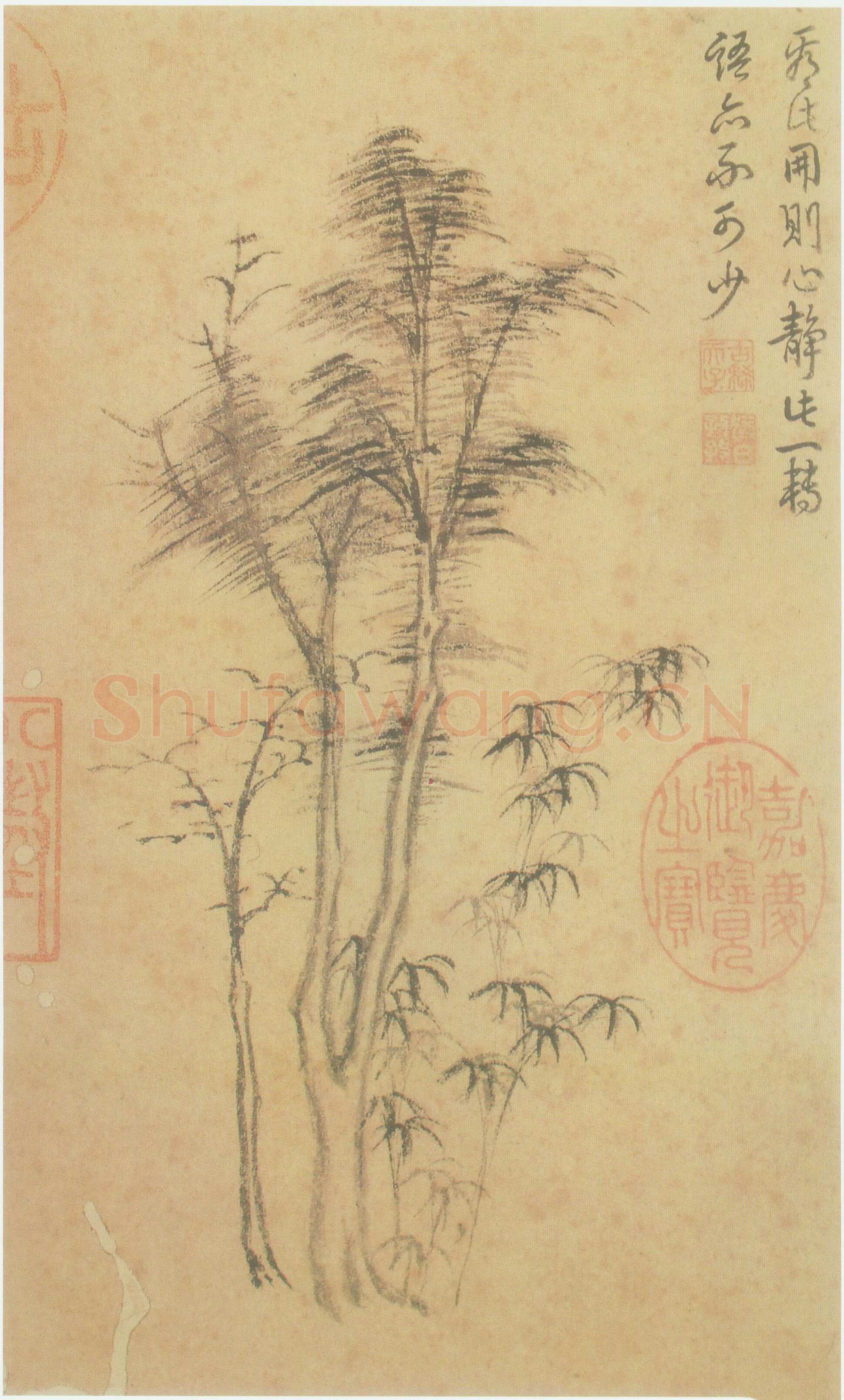 倪瓒云林画谱册