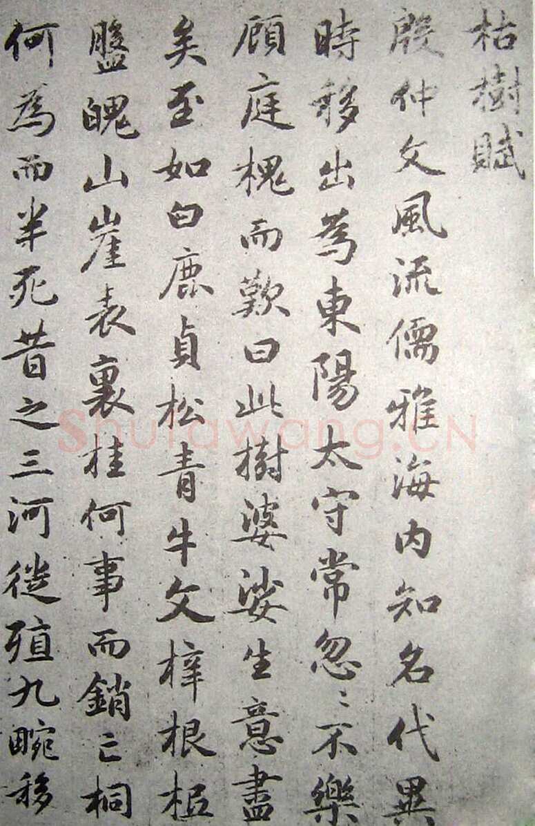 赵孟頫《临褚遂良枯树赋》纸本 行书 资料不详
