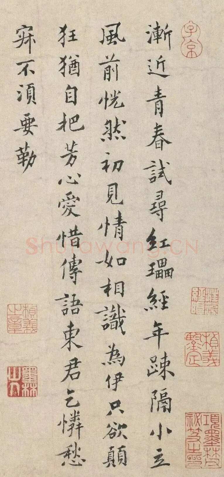扬无咎《四梅花图卷、行书跋雪梅图卷》