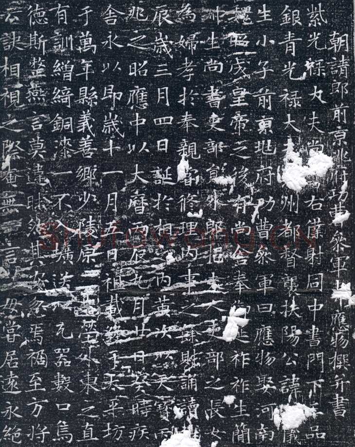韦应物《元苹墓志》