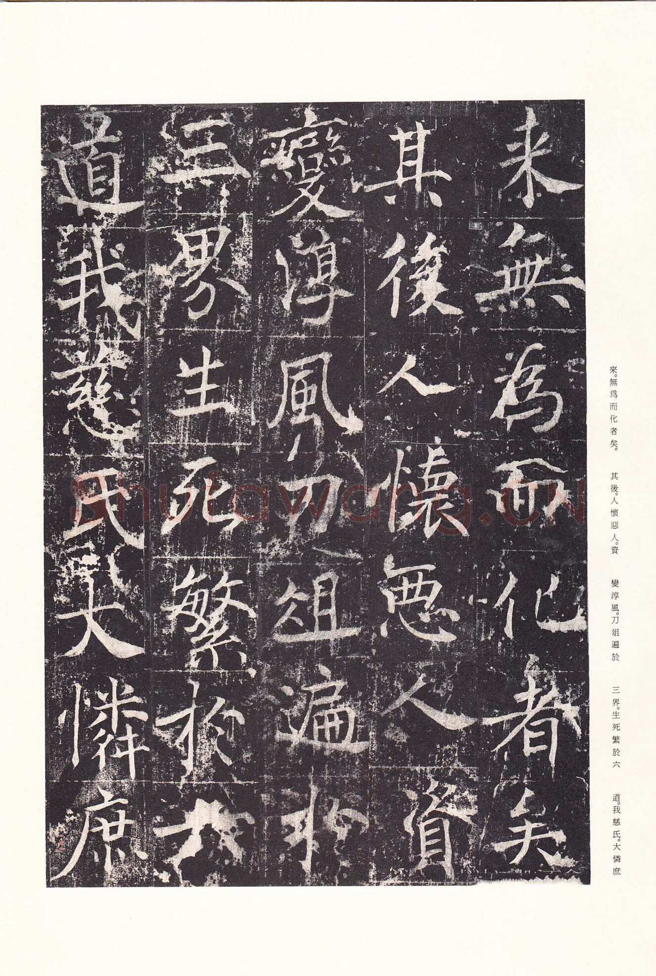 魏栖梧《善才寺碑》