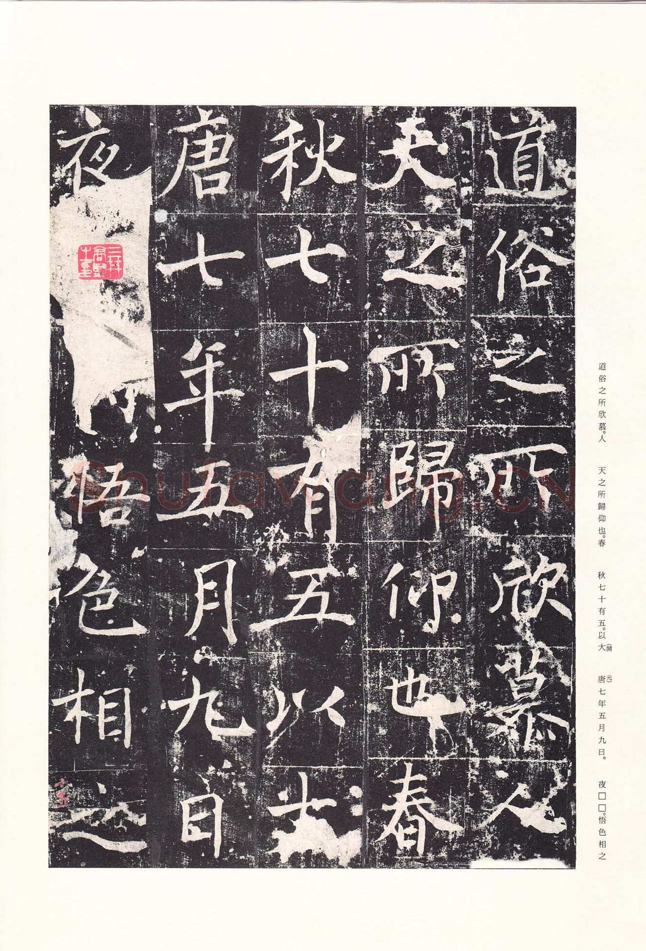 魏栖梧《善才寺碑》