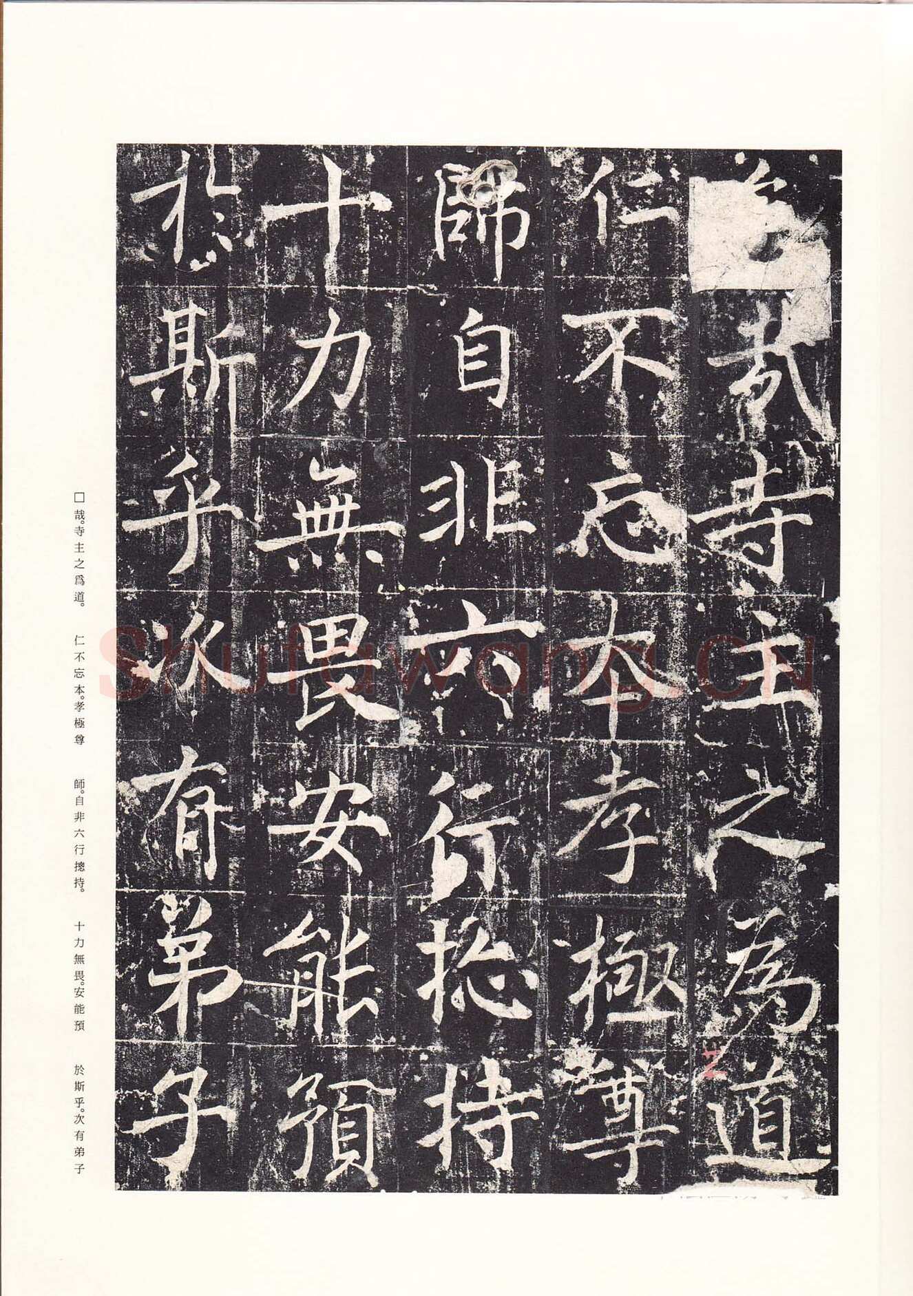 魏栖梧《善才寺碑》