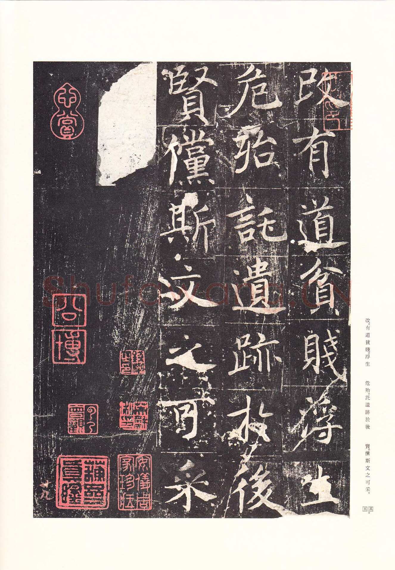 魏栖梧《善才寺碑》