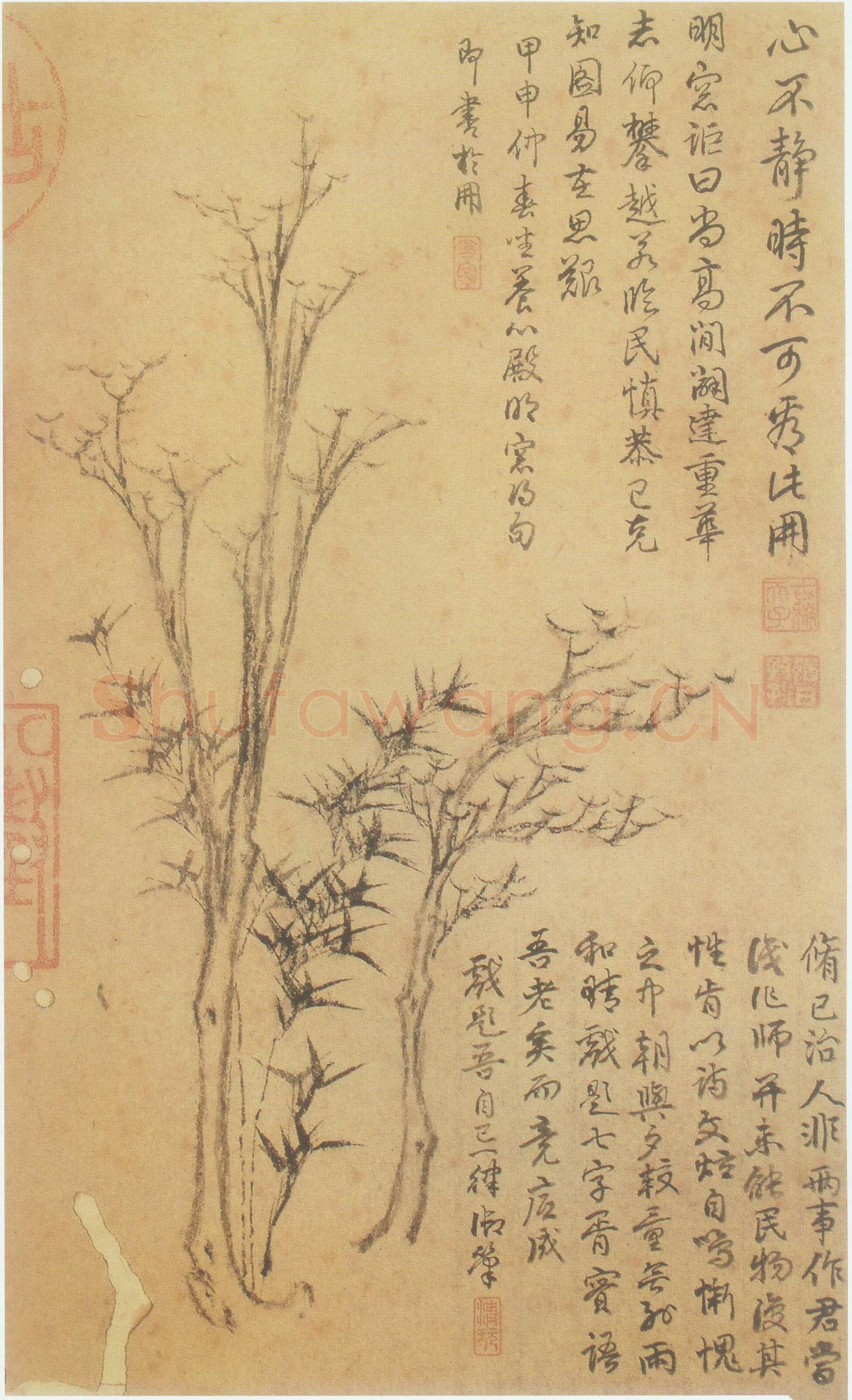 倪瓒云林画谱册