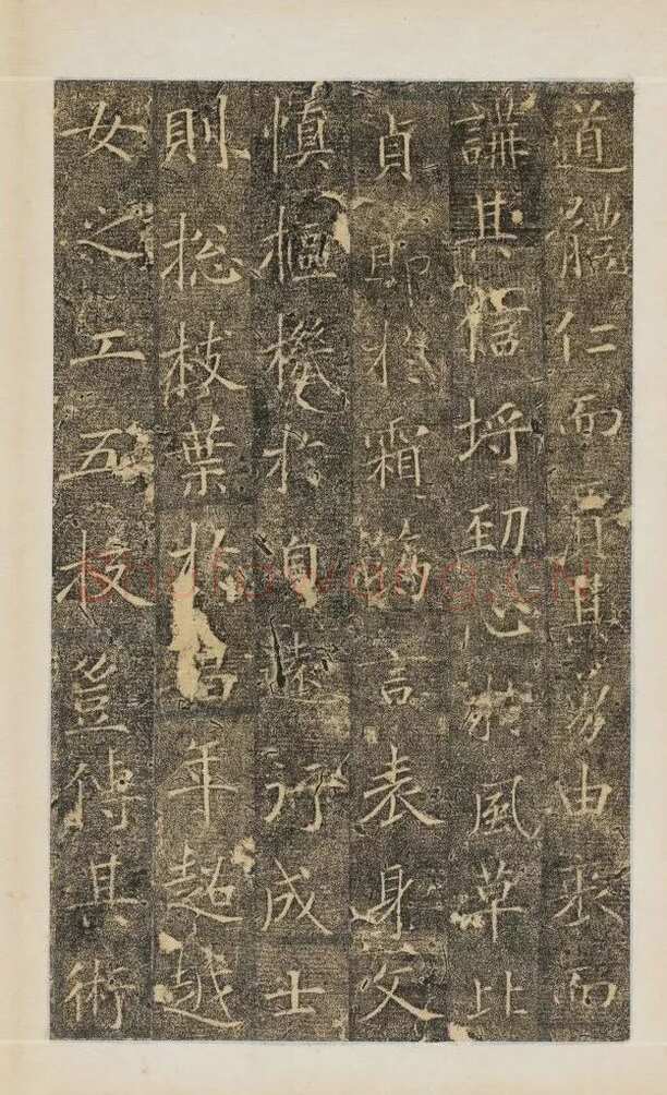 樊兴碑此碑又名《樊府君碑》,摘自唐朝樊兴碑