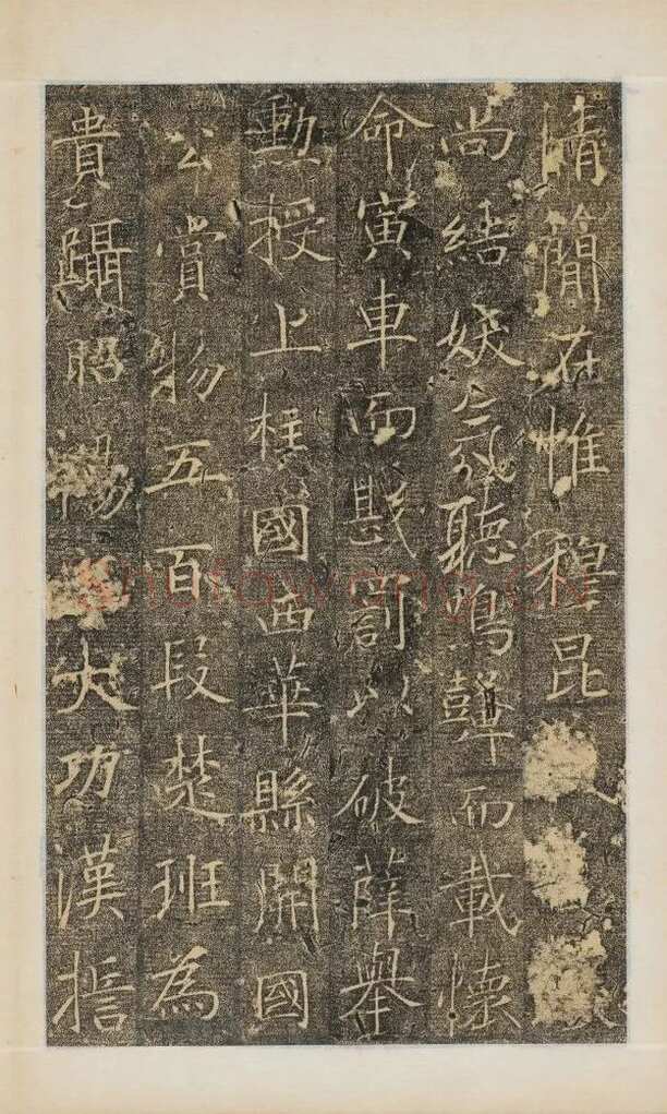 樊兴碑此碑又名《樊府君碑》,摘自唐朝樊兴碑