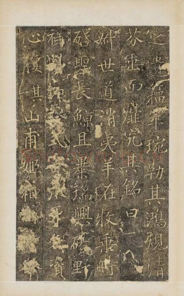樊兴碑此碑又名《樊府君碑》,摘自唐朝樊兴碑