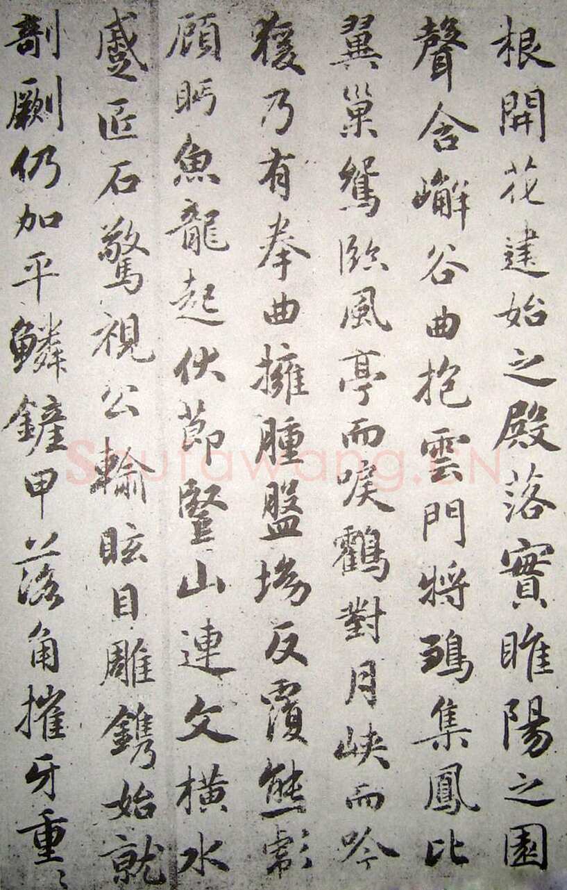 赵孟頫《临褚遂良枯树赋》纸本 行书 资料不详
