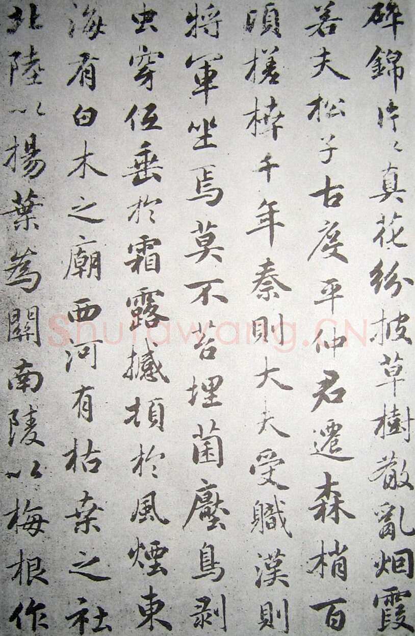 赵孟頫《临褚遂良枯树赋》纸本 行书 资料不详