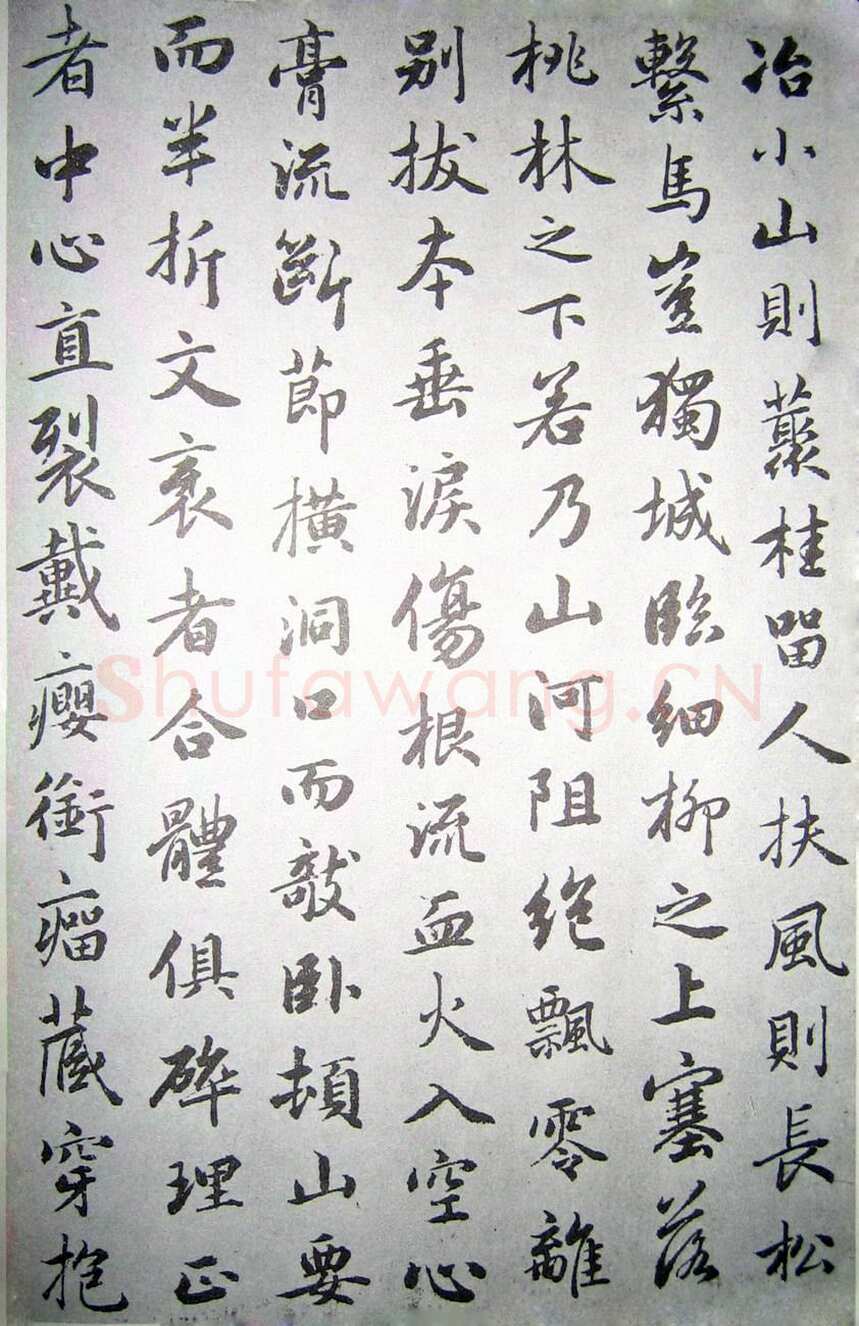 赵孟頫《临褚遂良枯树赋》纸本 行书 资料不详
