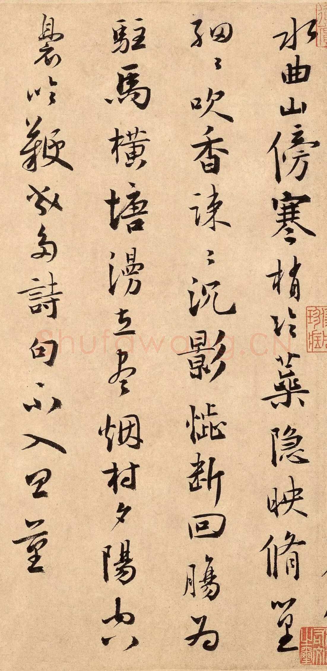 扬无咎《四梅花图卷、行书跋雪梅图卷》