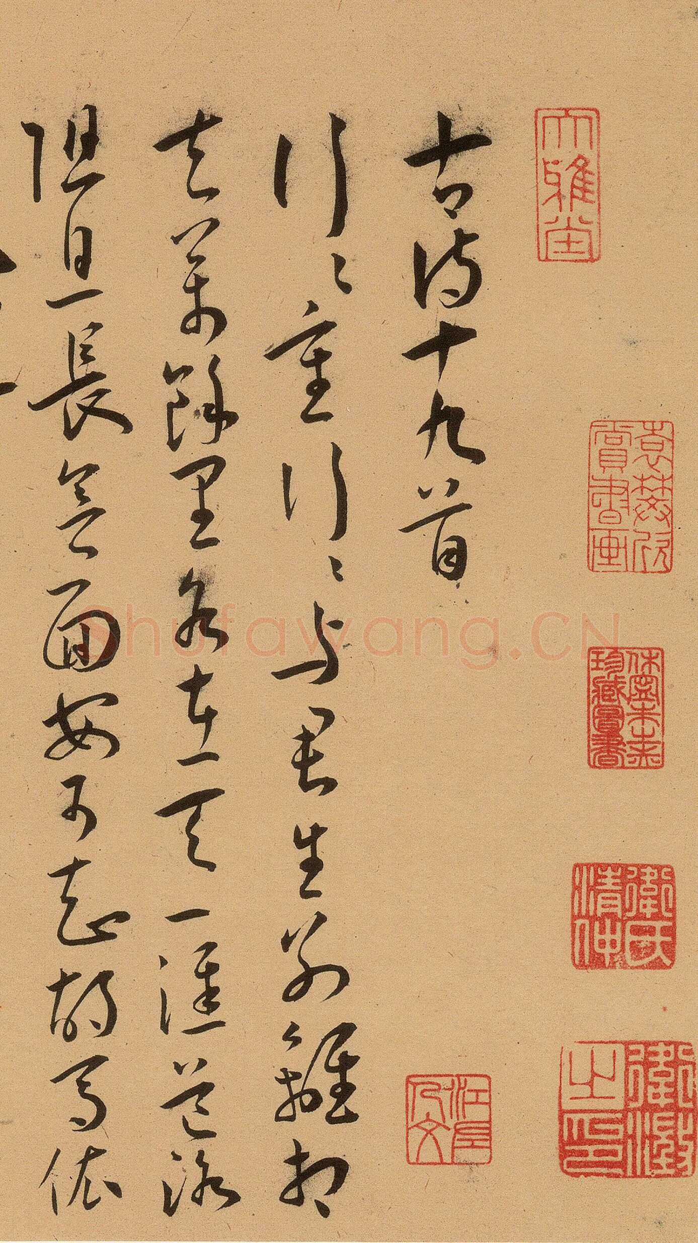 王宠《草书古诗十九首卷》纸本 草书 29.3×380.1cm 上海博物馆藏