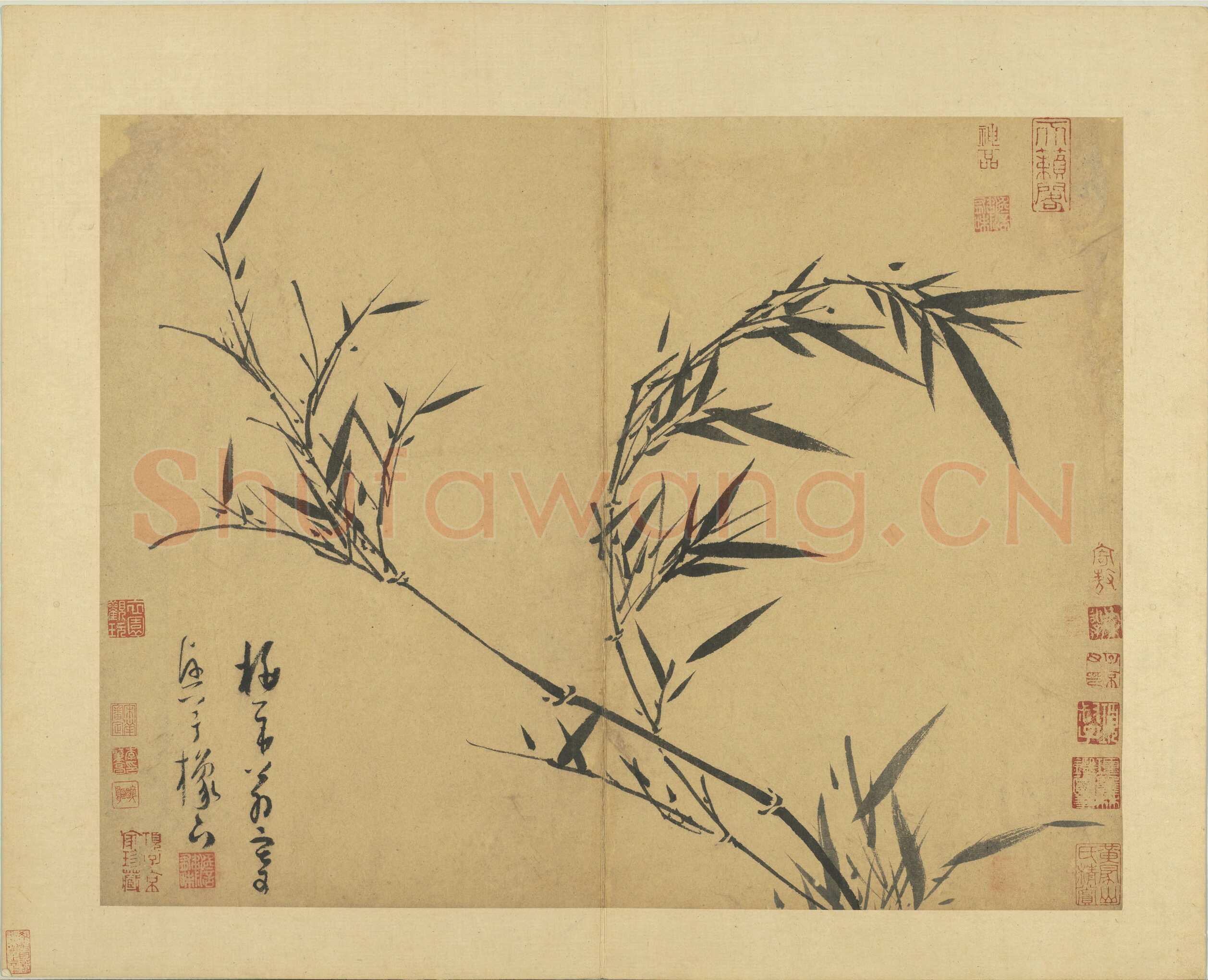 吴镇《墨竹谱》册 纸本 每页纵40.3厘米，横52厘米 二十二页 台北故宫博物院藏