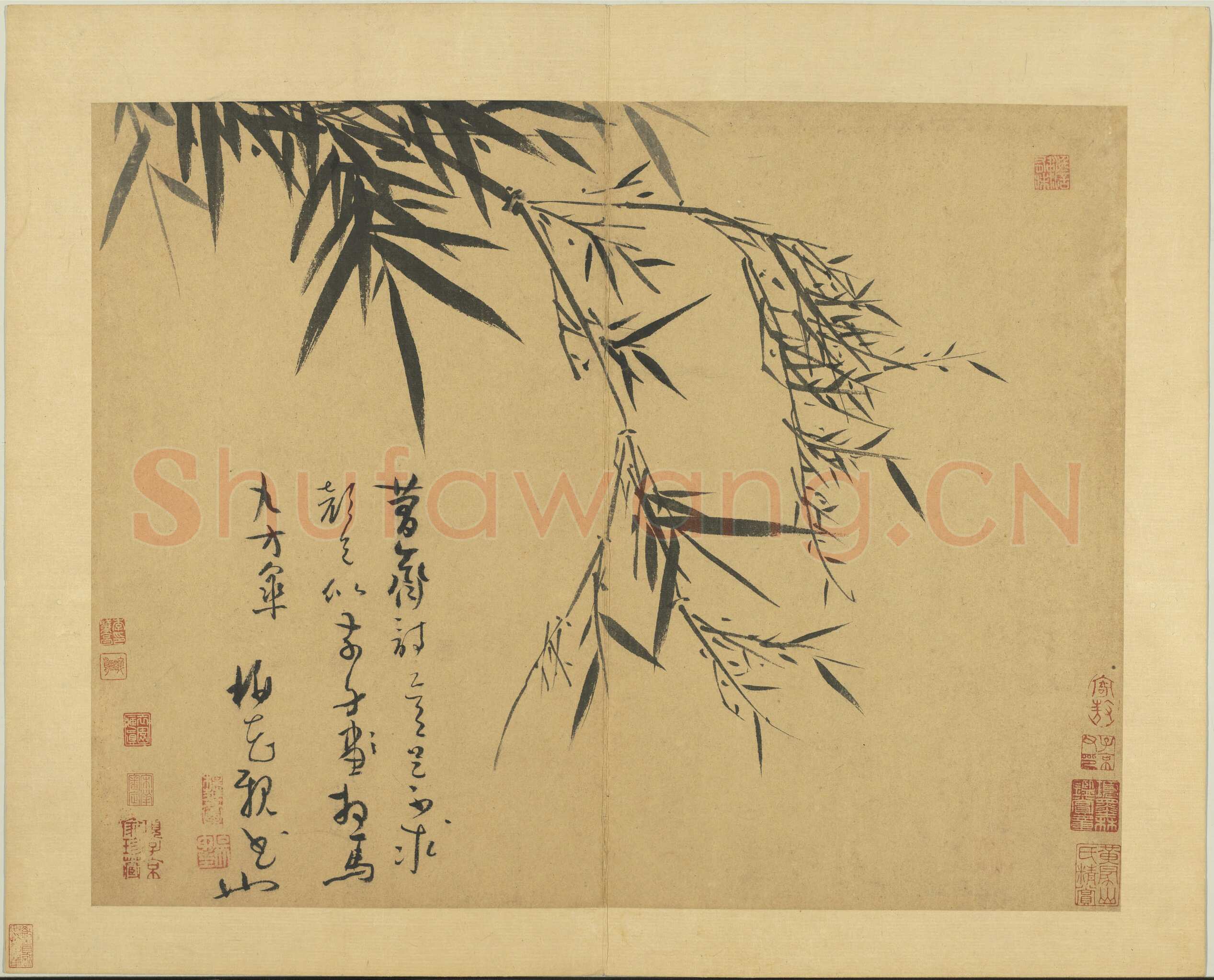 吴镇《墨竹谱》册 纸本 每页纵40.3厘米，横52厘米 二十二页 台北故宫博物院藏