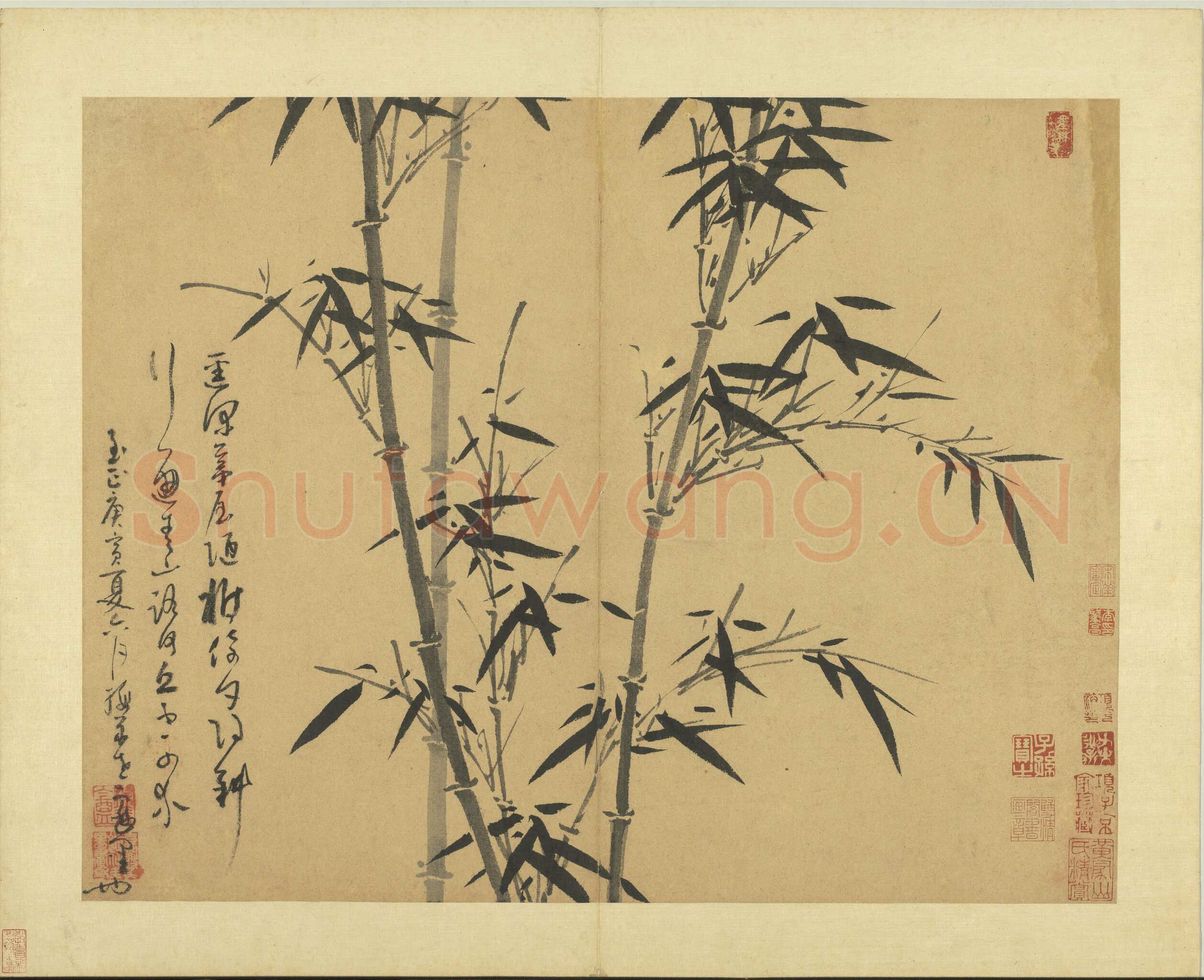吴镇《墨竹谱》册 纸本 每页纵40.3厘米，横52厘米 二十二页 台北故宫博物院藏