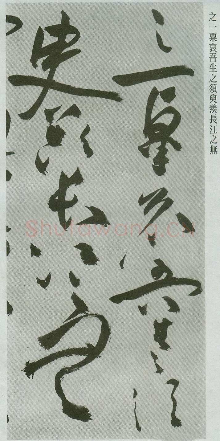 祝允明《草书前后赤壁赋卷》纸本草书 31.1×1001.7cm 上海博物馆藏