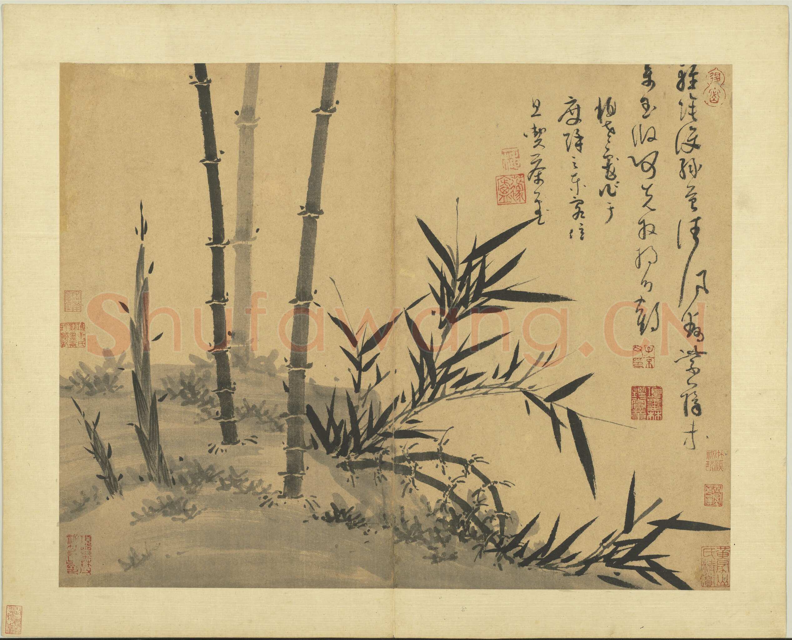 吴镇《墨竹谱》册 纸本 每页纵40.3厘米，横52厘米 二十二页 台北故宫博物院藏