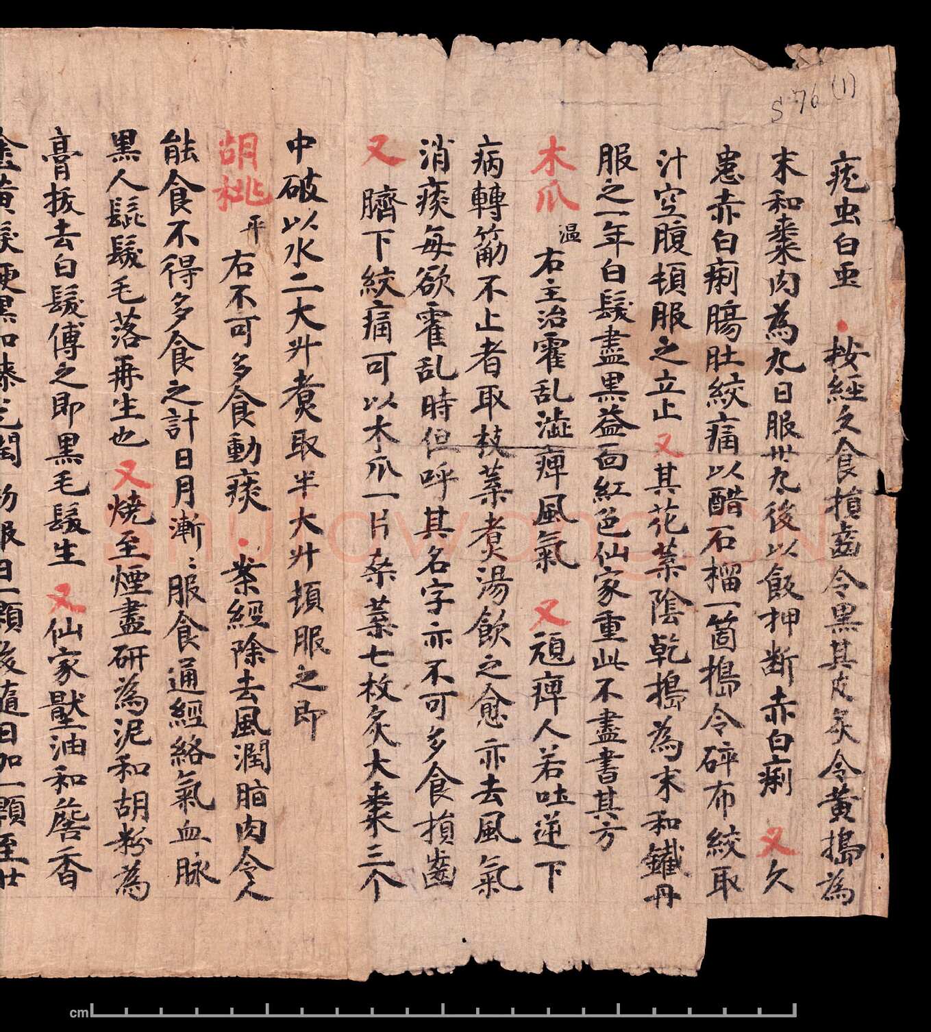 敦煌书法敦煌书法作品,摘自东晋至北宋食疗本草