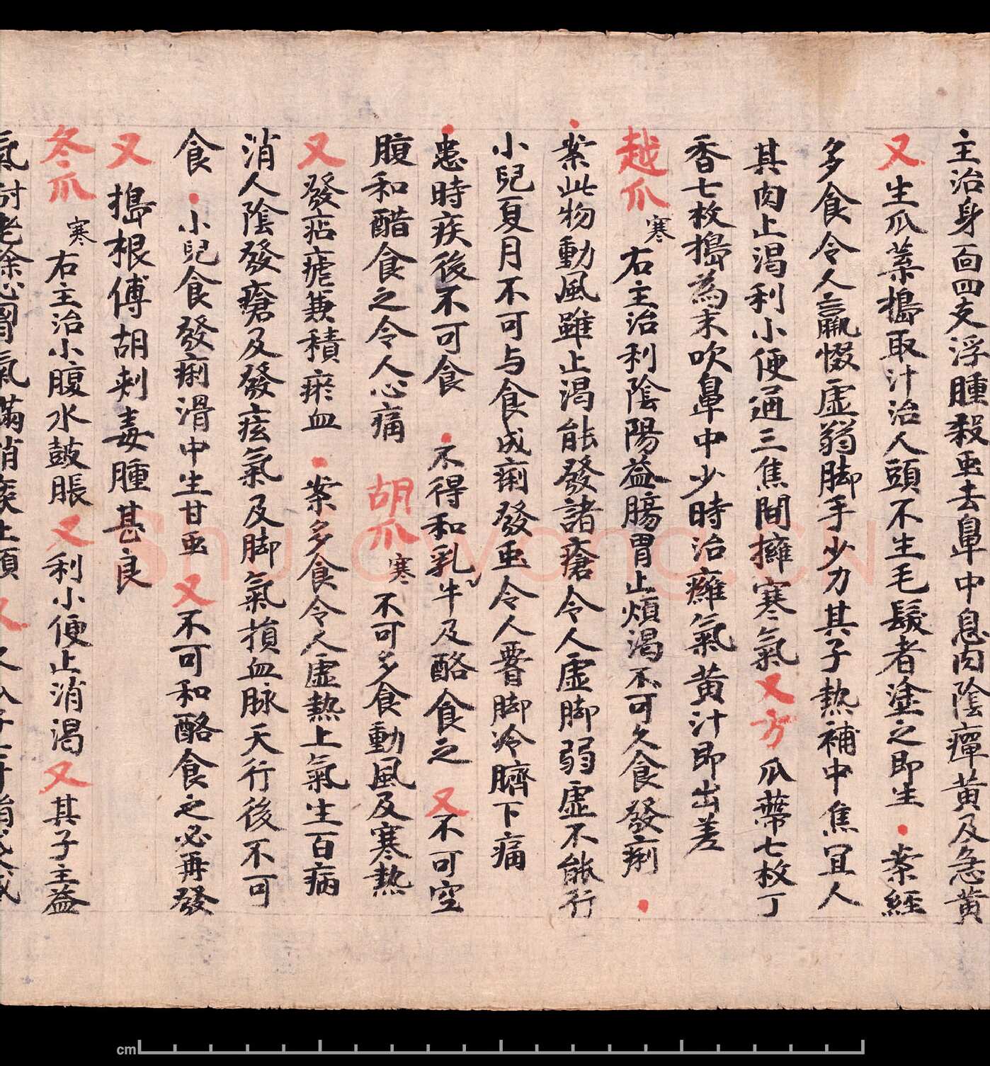 敦煌书法敦煌书法作品,摘自东晋至北宋食疗本草