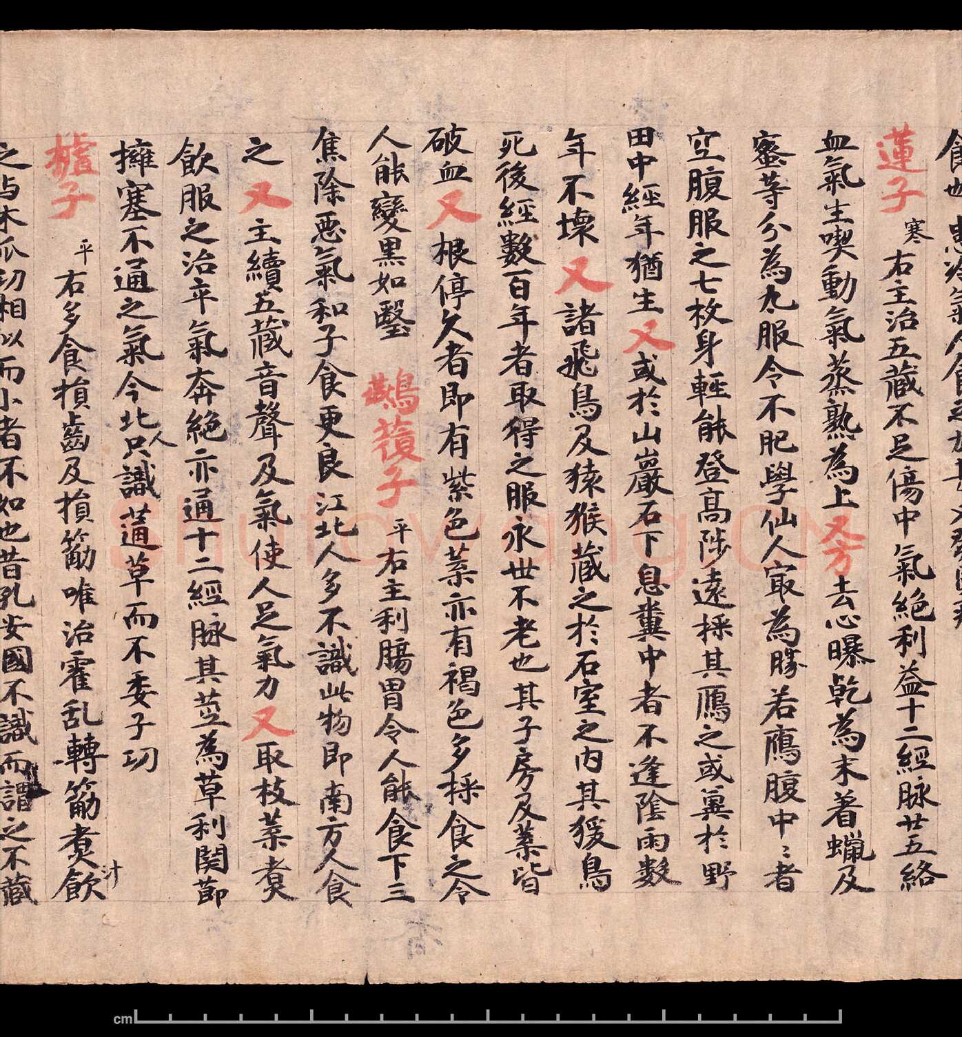 敦煌书法敦煌书法作品,摘自东晋至北宋食疗本草