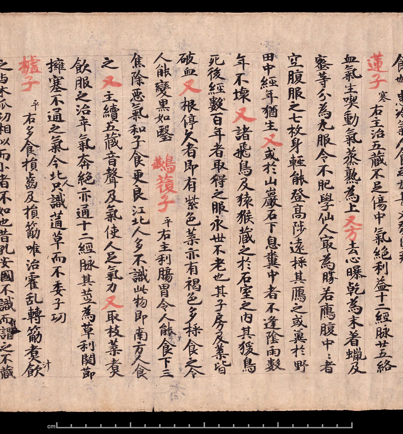 敦煌书法敦煌书法作品,摘自东晋至北宋食疗本草