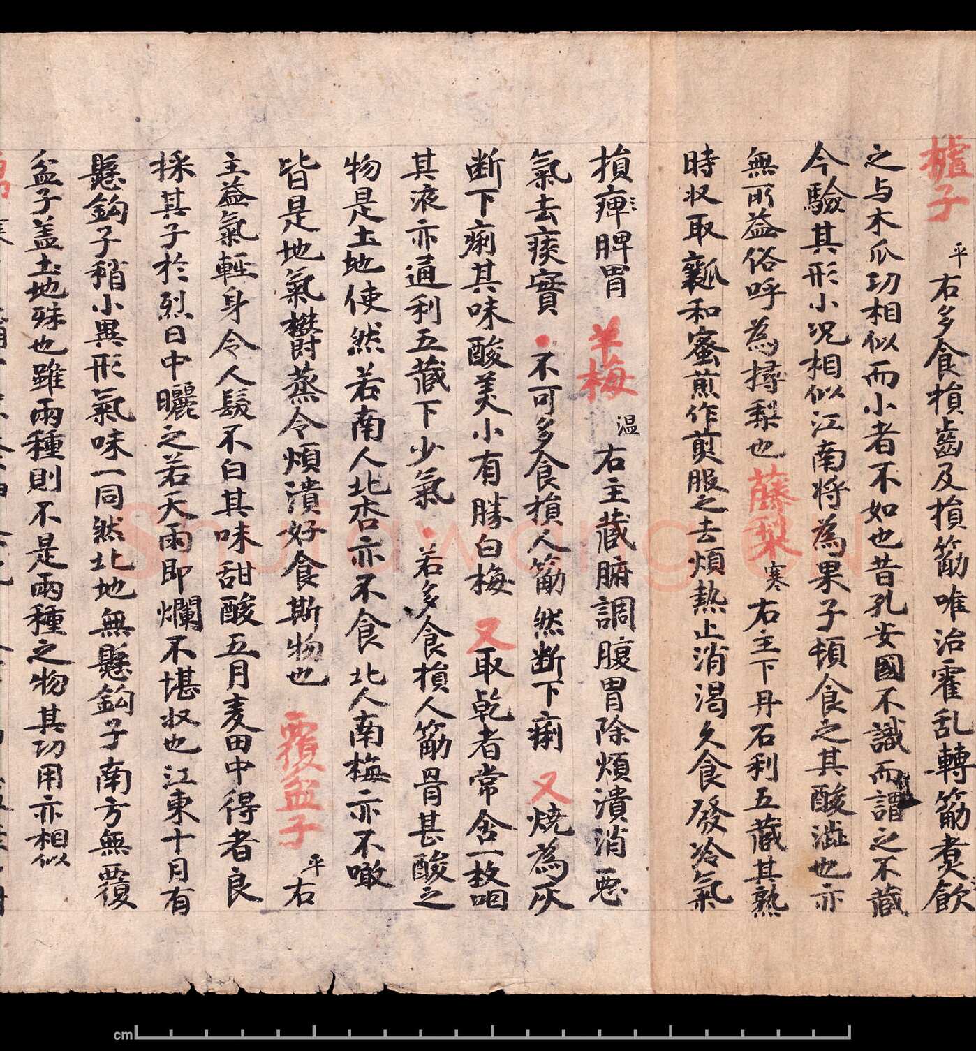 敦煌书法敦煌书法作品,摘自东晋至北宋食疗本草