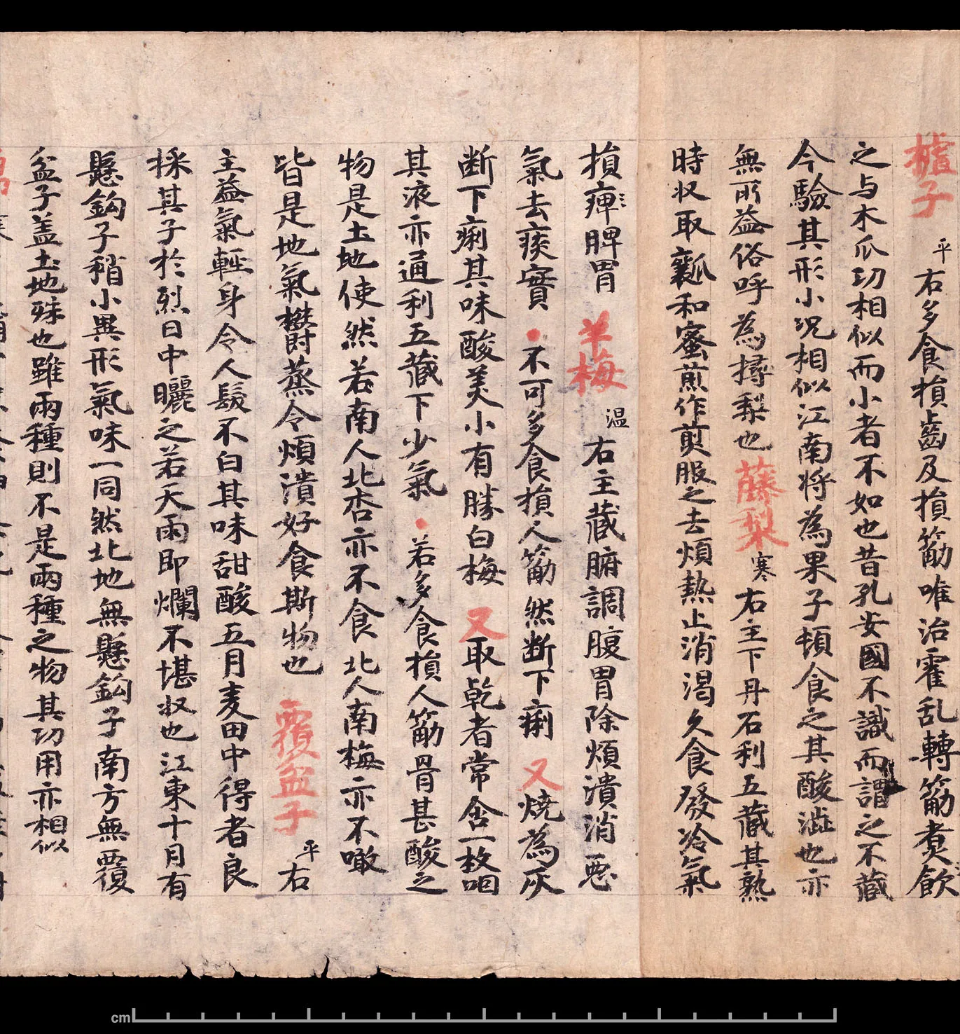 敦煌书法敦煌书法作品,摘自东晋至北宋食疗本草