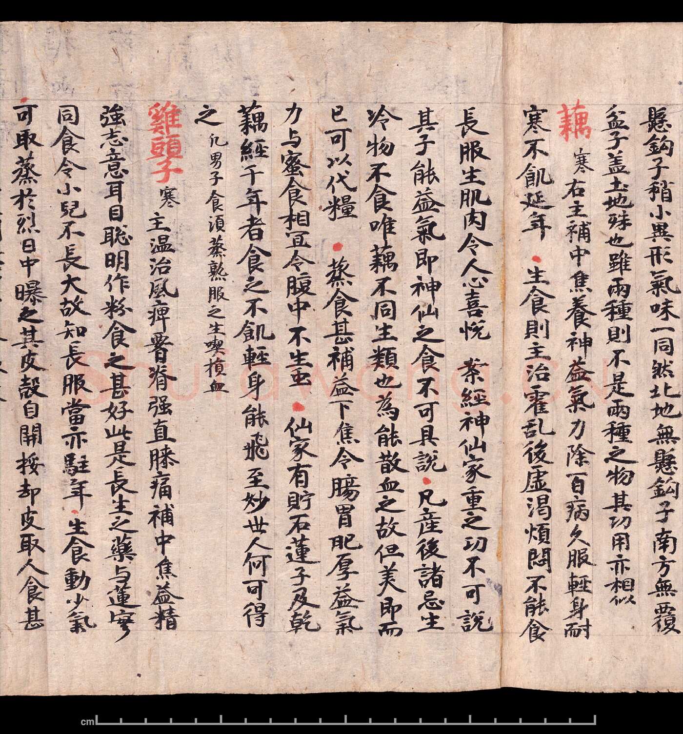 敦煌书法敦煌书法作品,摘自东晋至北宋食疗本草