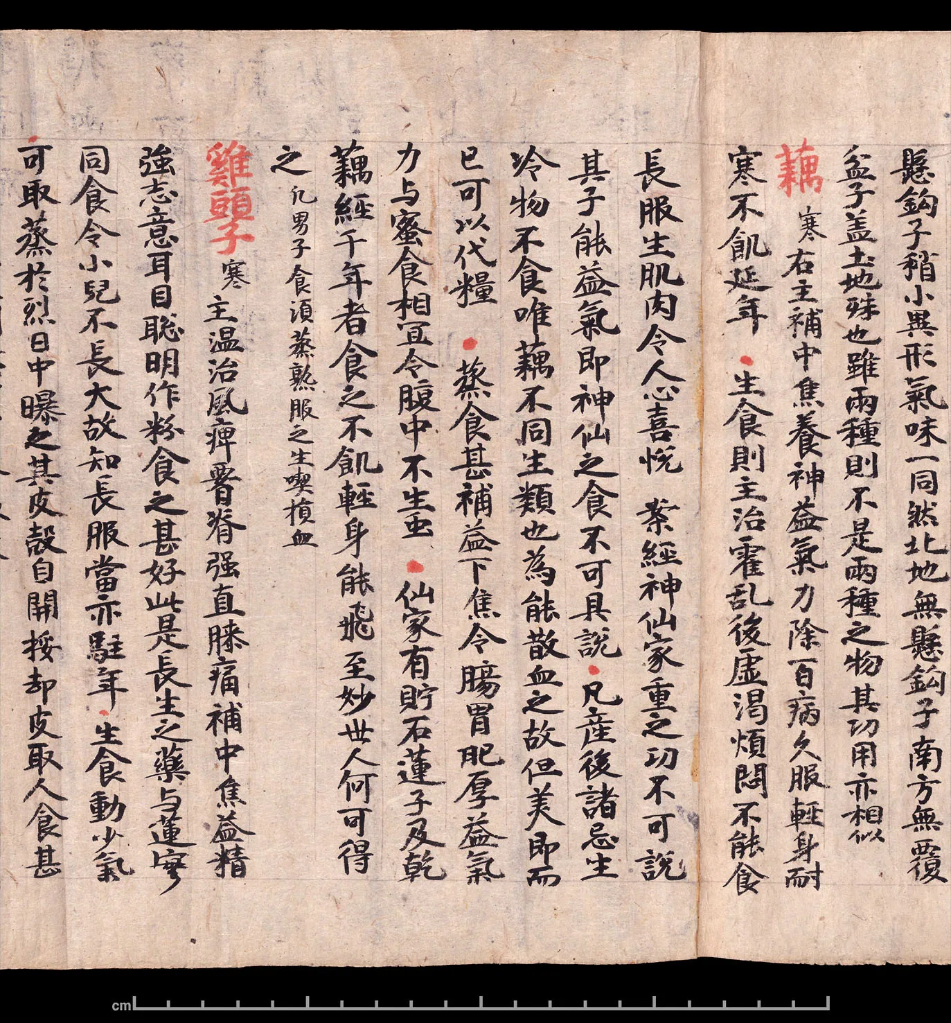 敦煌书法敦煌书法作品,摘自东晋至北宋食疗本草