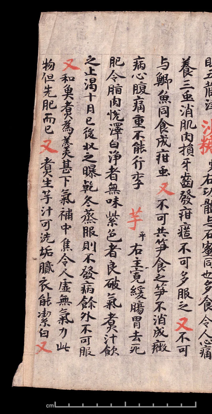 敦煌书法敦煌书法作品,摘自东晋至北宋食疗本草