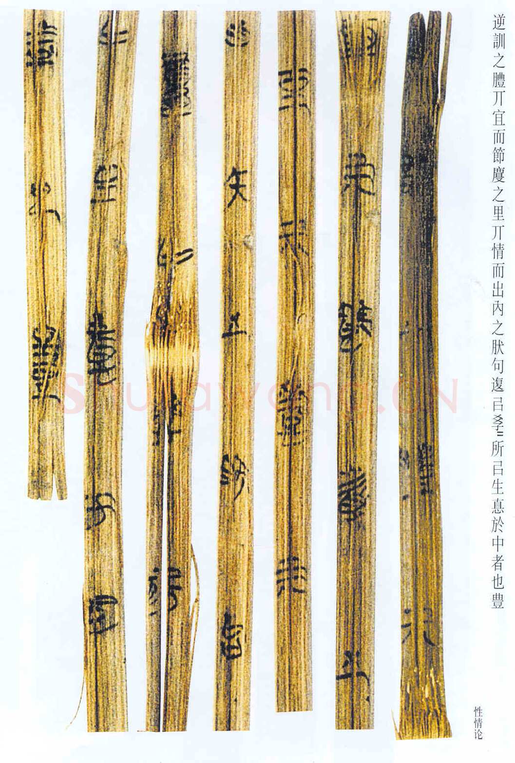 上海博物馆藏楚简朱书陶文作品欣赏,摘自先秦上海博物馆藏楚简