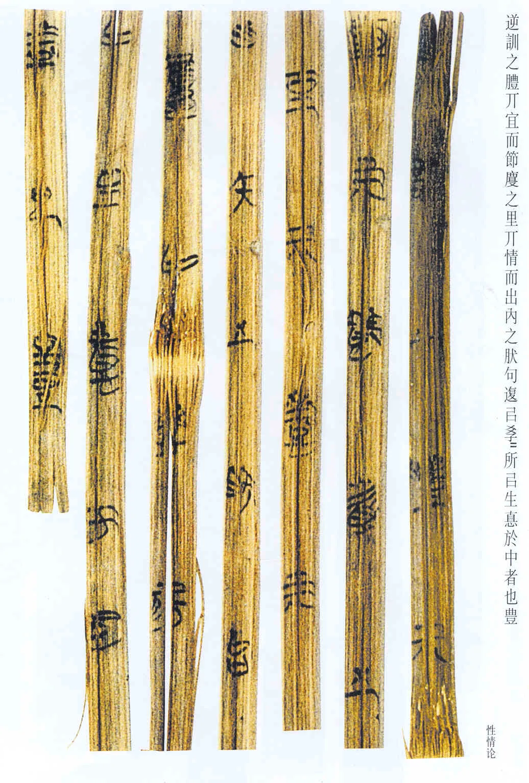 上海博物馆藏楚简朱书陶文作品欣赏,摘自先秦上海博物馆藏楚简