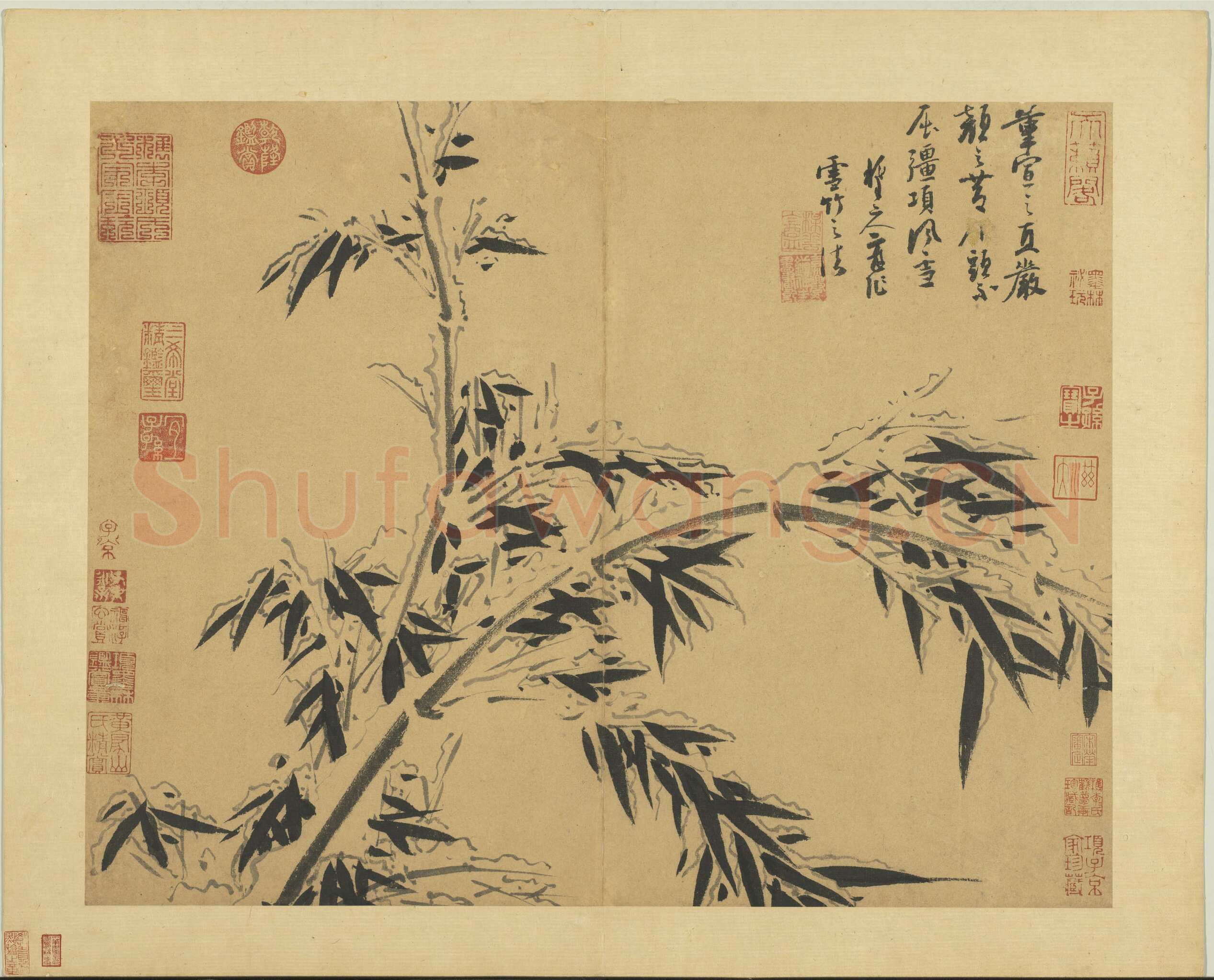 吴镇《墨竹谱》册 纸本 每页纵40.3厘米，横52厘米 二十二页 台北故宫博物院藏