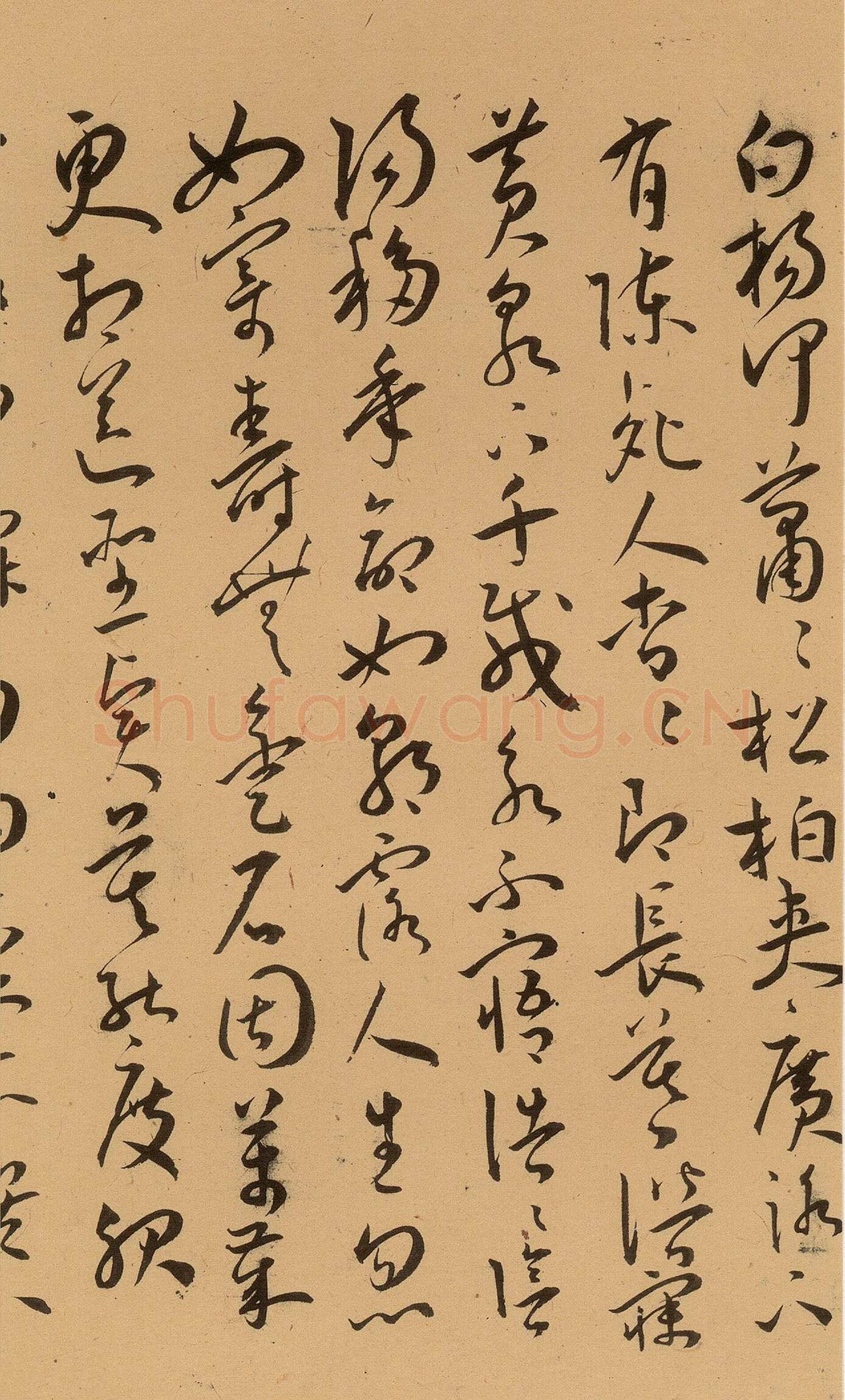 王宠《草书古诗十九首卷》纸本 草书 29.3×380.1cm 上海博物馆藏